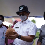 Mamey Sapote, Sawo Jumbo di Festival Hortikultura