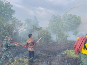 Laporkan Jika Temukan Pembakar Lahan!