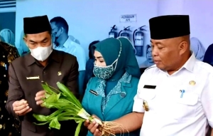 Wabup Pagi: Tingkatkan Wawasan dan Keterampilan Kader PKK