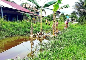 Aksi Warga Tanam Pohon Pisang di Jalan Cadika, Dewan Desak Pemerintah Perbaiki!
