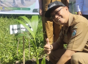 Mempawah Tanam 300 Pohon di 50 Sekolah