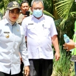 Pastikan Berjalan dengan Baik, Bupati Pantau Pembangunan Jalan di Sungai Bakau Kecil