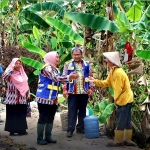 Bupati Erlina Minta Petani Jaga dan Manfaatkan Saluran Irigasi dengan Baik