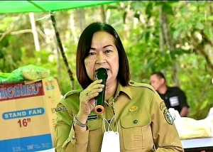 Cabai Penyumbang Inflasi Terbesar di Sintang