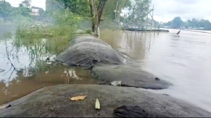 Mainar: Geobag yang Dibangun Menteri PUPR Tak Efektif Tangkal Banjir di Sintang