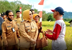 Bupati Erlina Dengarkan Keluh Kesah Petani Anjungan Melancar