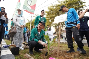 Tanam Pohon Tabebuya di Banjarbaru