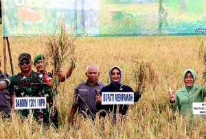Panen Perdana, Upaya Pemerintah dan TNI Menjaga Ketahanan Pangan Daerah
