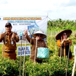 Kelompok Tani Mitra Panen Cabai Hijau ke-5 Kalinya