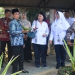 Tingkatkan Produksi Aloevera