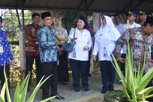 Tingkatkan Produksi Aloevera
