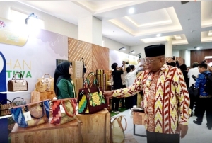 Wabup Pagi Hadiri High Level Meeting dan TP2DD