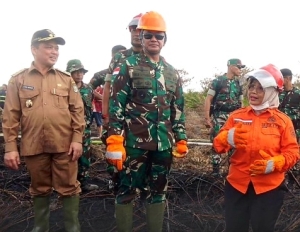 Bupati Erlina Dampingi Wagub, Pangdam XII/Tpr, dan Kapolda Kalbar Tinjau Karhutla di Sungai Purun Besar