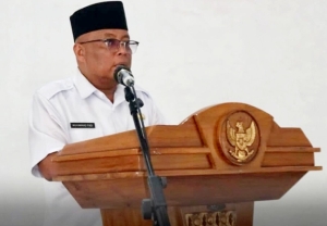 Wabup: Banyak Potensi Pajak Daerah Belum Tergali Maksimal