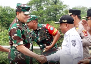 Wabup Pagi Dampingi Panglima TNI Tinjau Karhutla