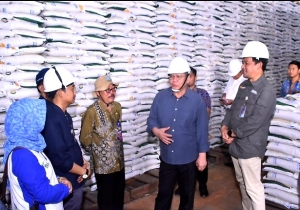 Pj Gubernur Kalbar Pastikan Stok Beras Sintang Aman
