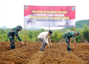 Pj Bupati Ismail Lakukan Penanaman Pohon Singkong di Desa Toho Ilir