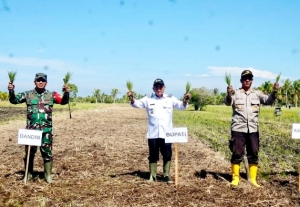 Wabup Juli Ikuti Tanam Padi Serentak Virtual Bersama Presiden Prabowo