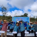 Gertam Cabai di Gurung Kempadik: Upaya Distanbun Bersama PKK Sintang Tekan Harga dan Jaga Ketahanan Pangan