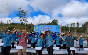 Gertam Cabai di Gurung Kempadik: Upaya Distanbun Bersama PKK Sintang Tekan Harga dan Jaga Ketahanan Pangan