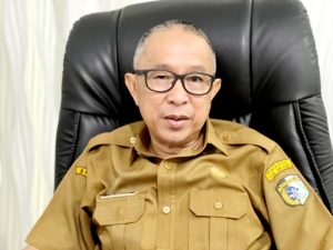 Zulkarnaen: PLBN Sungai Kelik, Kunci Pengawasan 1.076 Patok Batas di Sintang