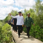 Menteri LHK Puji Keberhasilan Konservasi Mangrove di Mempawah