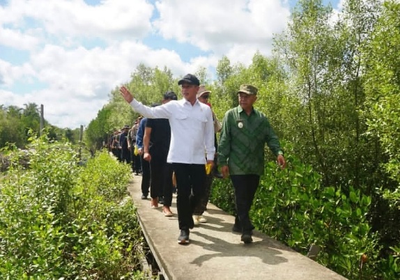 Menteri LHK Puji Keberhasilan Konservasi Mangrove di Mempawah