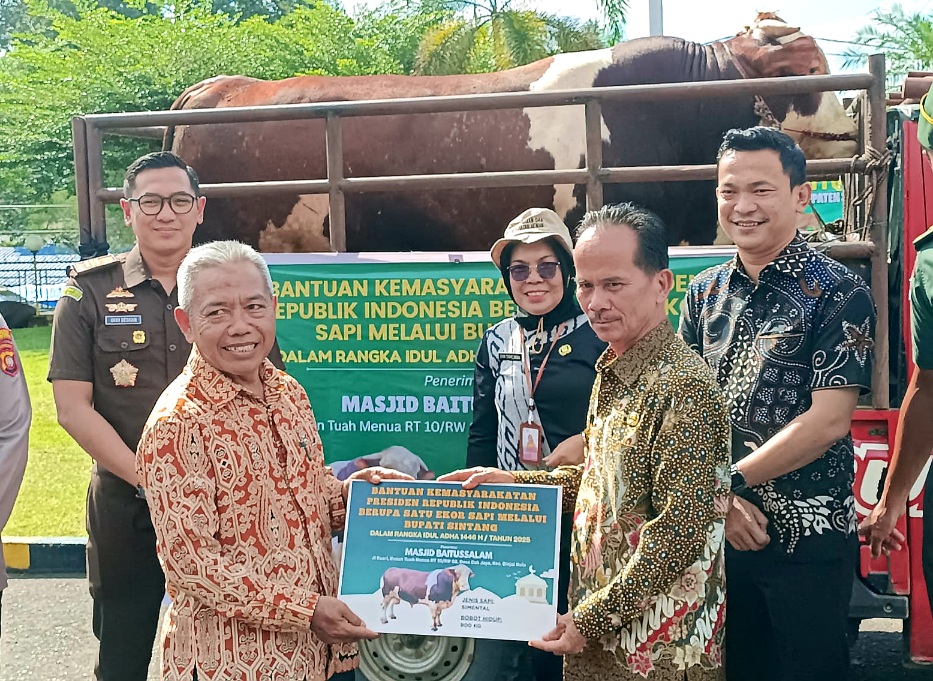 Idul Adha 2025, Umat Islam di Sintang Terima 9 Ekor Sapi Kurban dari Pemkab dan Presiden Prabowo Subianto