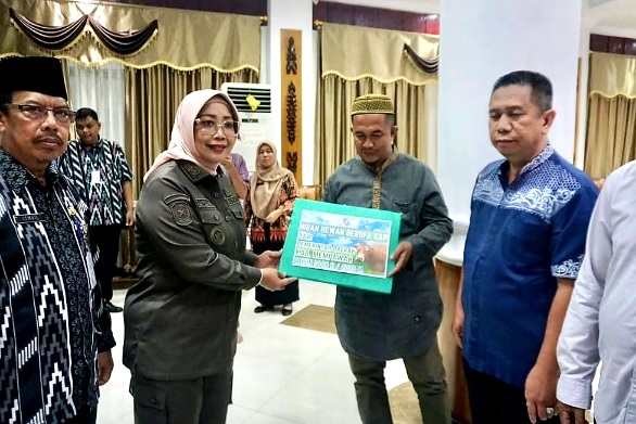 Sambut Iduladha, Bupati Erlina Serahkan 22 Ekor Sapi Kurban ke Masjid dan Yayasan