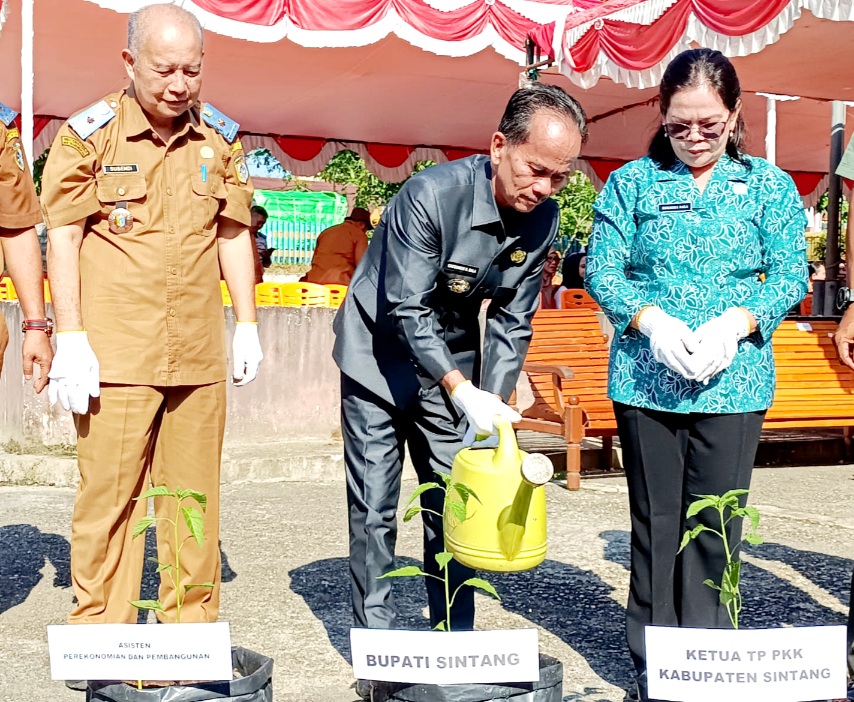 Bupati Bala Ajak ASN Berkebun Cabai