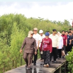 Wamen Diktisaintek dan Bupati Erlina Tinjau Potensi Konservasi Mangrove di Mempawah Mangrove Park