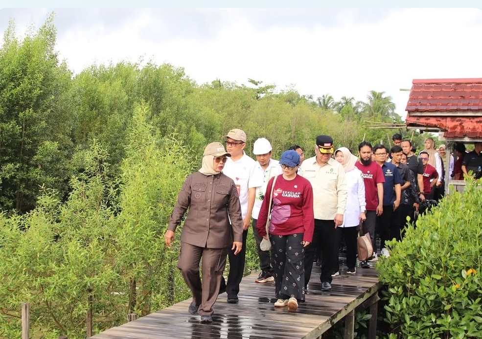 Wamen Diktisaintek dan Bupati Erlina Tinjau Potensi Konservasi Mangrove di Mempawah Mangrove Park