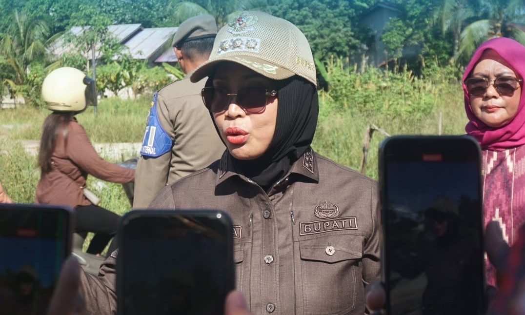 Dikeluhkan Warga di Medsos, Bupati Erlina Gerak Cepat Tinjau Jalan Rusak di Antibar
