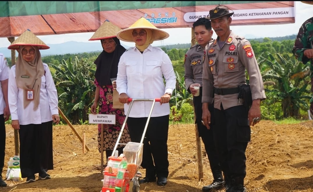 Bupati Erlina Dukung Ketahanan Pangan Lewat Gerakan Tanam Jagung Serentak di Mempawah