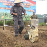 Wabup Juli Suryadi Dukung Penanaman Jagung Serentak di Antibar, Perkuat Ketahanan Pangan