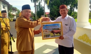 Pemkab Mempawah Salurkan 12 Sapi Kurban untuk Masyarakat