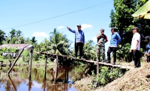 Wabup Juli Pastikan Jembatan Darurat Segera Dibangun di Peniti Besar